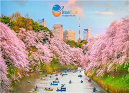 [HCM] Tour Nhật Bản Hành Trình Vàng Mùa Hoa Anh Đào Nở Sớm 2026